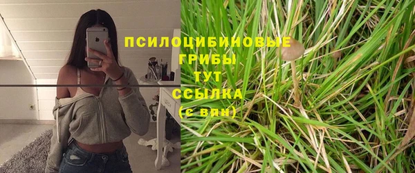 мяу мяу мука Абдулино