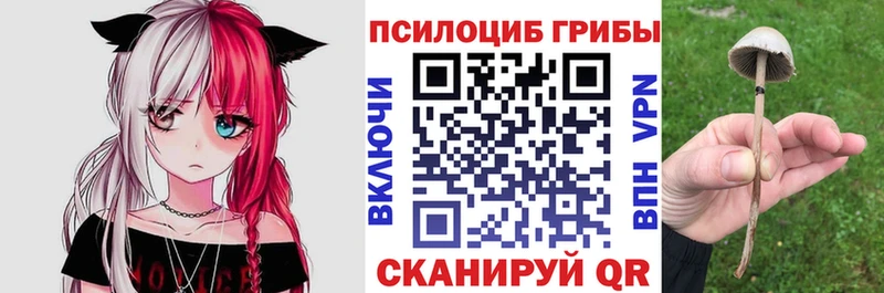 kraken маркетплейс  Красноуфимск  Псилоцибиновые грибы мицелий 